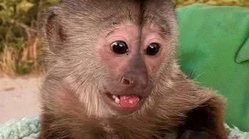 Divulgação/Gabinete do Xerife do Condado de San Luis Obispo