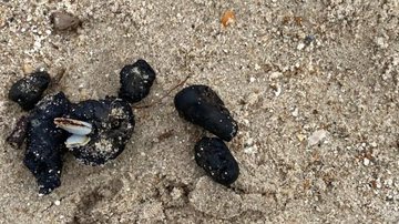 Secretaria de Meio Ambiente de Pitimbu/Divulgação