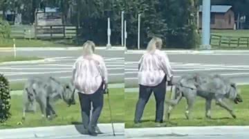 Reprodução/Worldstar @lauracavillo09