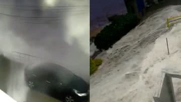 Reprodução/ Vídeo