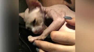 Reprodução/Facebook/Joanne Dyck