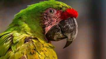 Foto Ilustrativa/Pexels