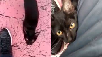 Reprodução/TikTok @rosilenemartins75