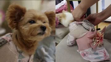 Reprodução/YouTube/NBC News