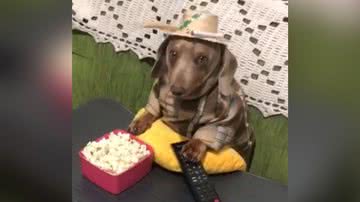 Reprodução/TikTok @eudreewmartins