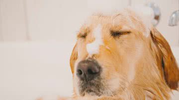 Ilustrativa / Pixabay