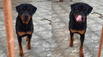 Reprodução/TikTok @jaady_teixeira