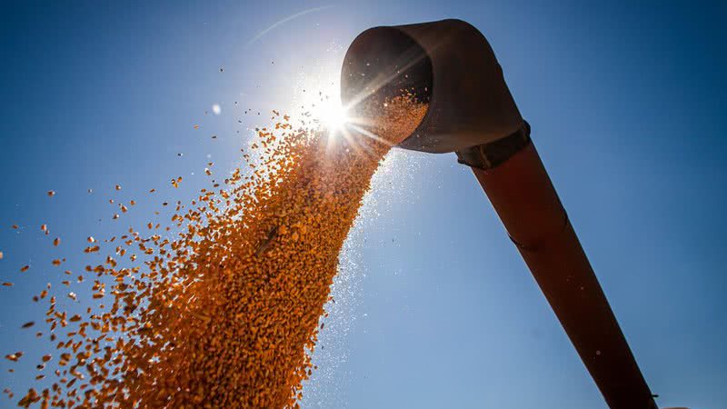 Foto: Wenderson Araújo / Confederação da Agricultura e Pecuária do Brasil / Divulgação