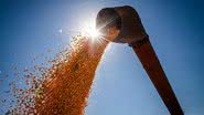 Foto: Wenderson Araújo / Confederação da Agricultura e Pecuária do Brasil / Divulgação