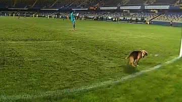 Reprodução/Twitter @NaazzCL_