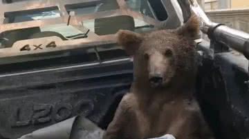 Reprodução / Redes Sociais