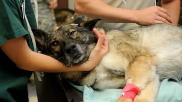 Ilustrativa / Pixabay