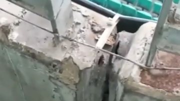 Foto: Reprodução / Redes Sociais