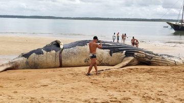 Reprodução / Cabrália Agora