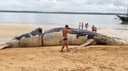 Reprodução / Cabrália Agora