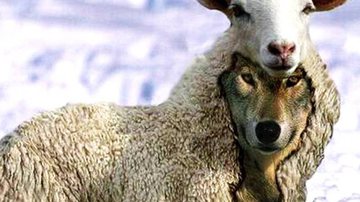 Imagem Na Sombra do Poder: Lobinho em apuros