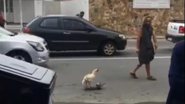 Foto: Reprodução / Redes Sociais