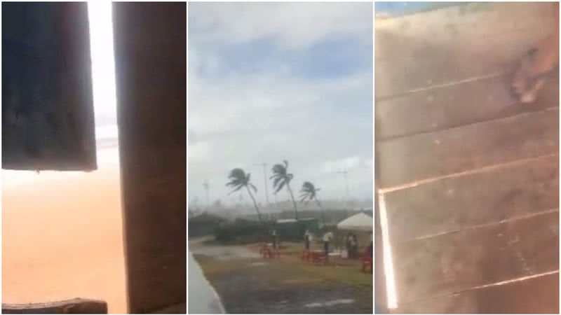 Reprodução/Abrasa