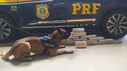 Divulgação/PRF