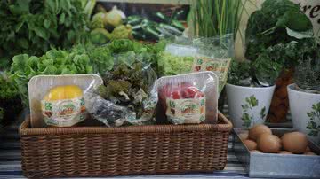 Reprodução // Agência Brasil