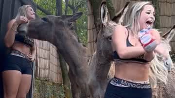 Reprodução/TikTok @eu_peoliveira