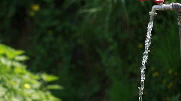 Divulgação / Pixabay