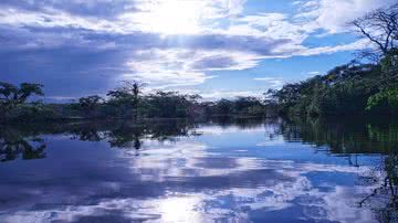 Divulgação / Pixabay