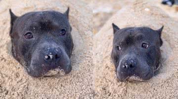 Reprodução / TikTok