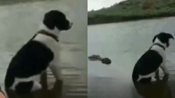 Reprodução/TikTok @biomesquita