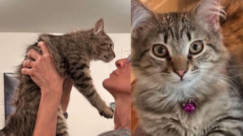Reprodução / Instagram
