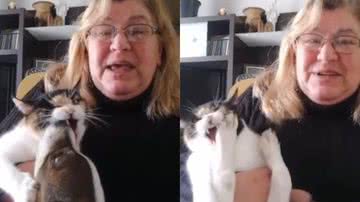 Reprodução/TikTok @eadpandemia