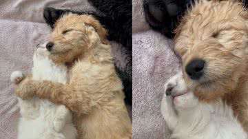 Reprodução / TikTok