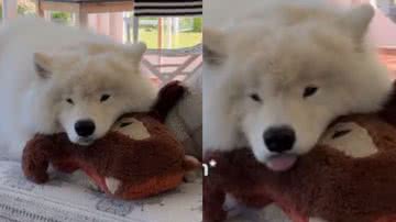 Reprodução / TikTok