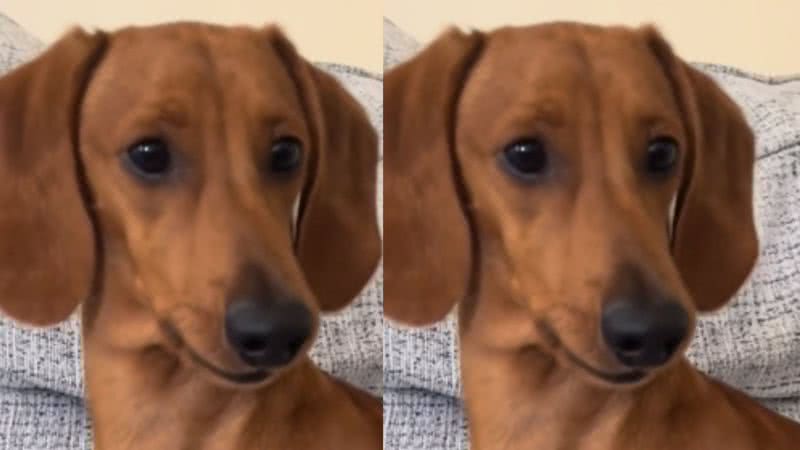 Reprodução / TikTok
