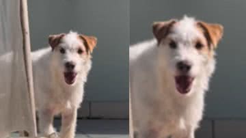 Reprodução / Instagram