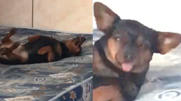 Reprodução / TikTok