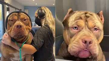 Reprodução / TikTok