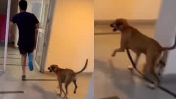 Reprodução / Instagram