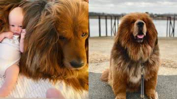 Reprodução / Instagram