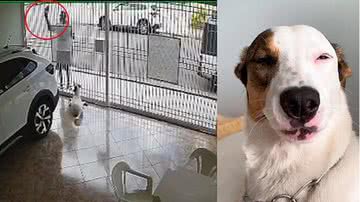 Reprodução / TikTok