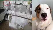 Reprodução / TikTok