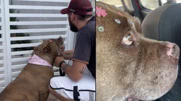 Reprodução / TikTok