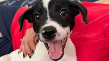 Reprodução / Arquivo pessoal G1