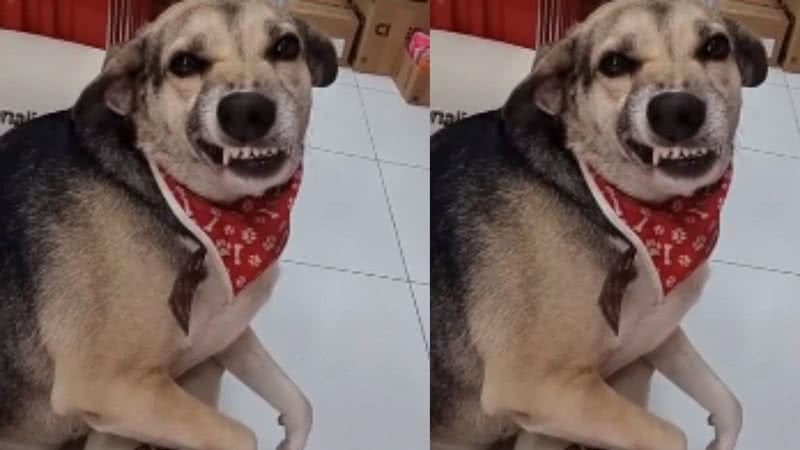 Reprodução / TikTok