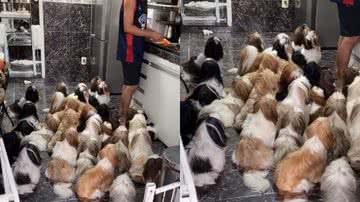 Reprodução / TikTok