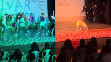 Reprodução/TikTok @gaablly