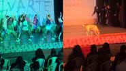 Reprodução/TikTok @gaablly