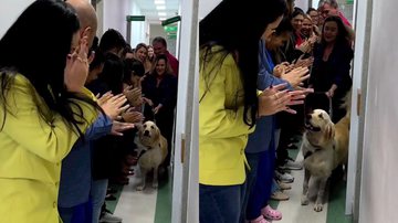 Reprodução/Instagram @luck.ogolden