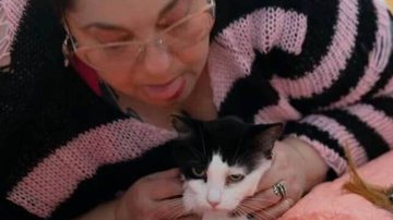 Reprodução/YouTube