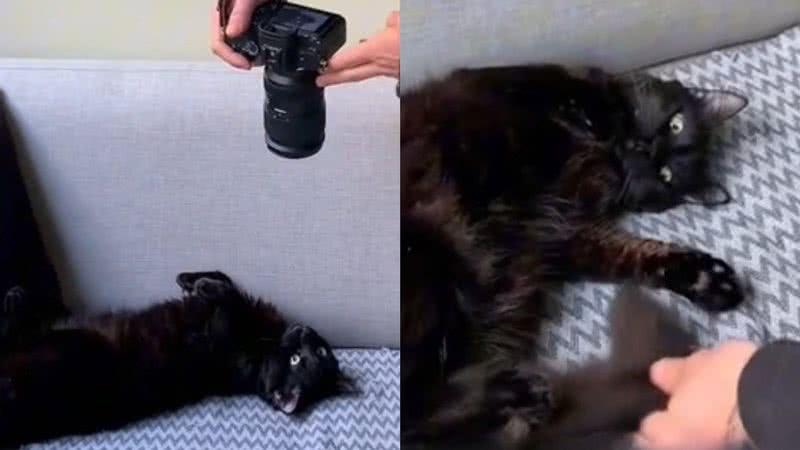 Reprodução/TikTok @rodrigom.ph